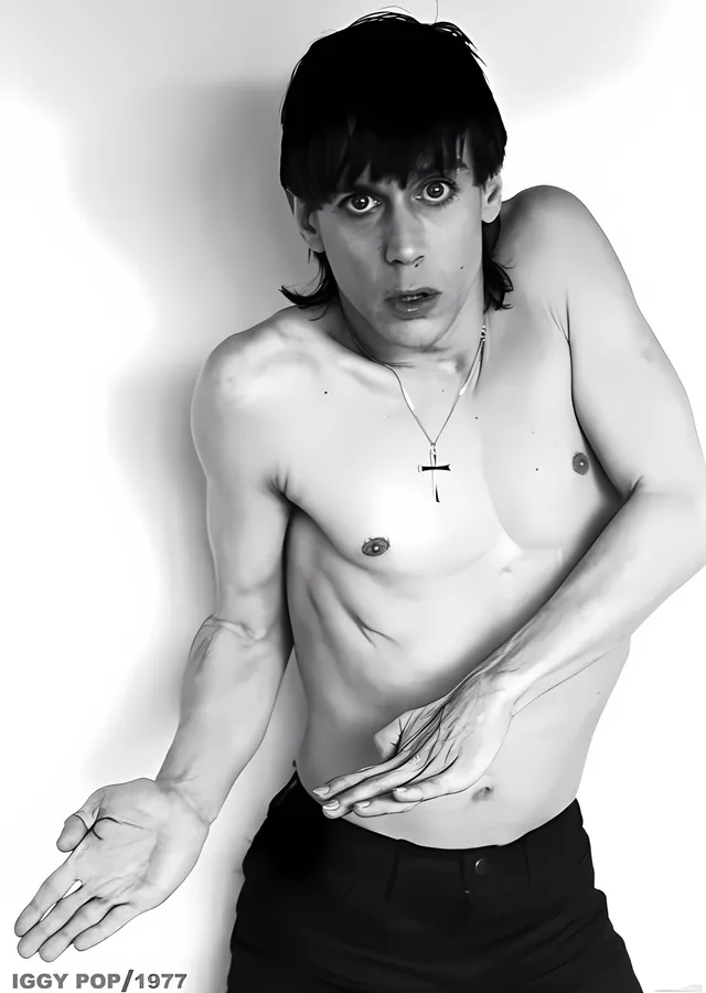 Iggy Pop: Stüdyo 1977 metal tablo