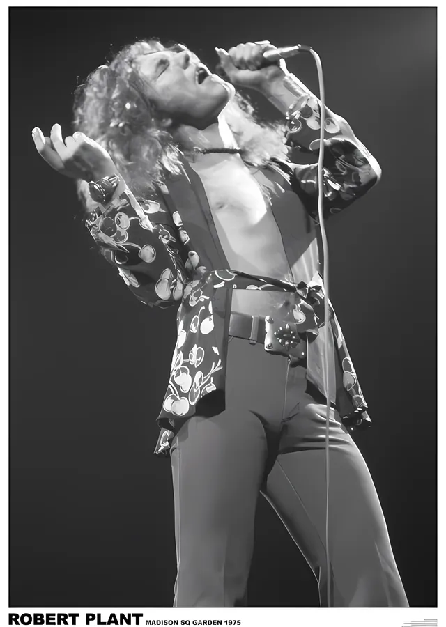 Robert Plant: Madison Square Garden 1975 metal tablo