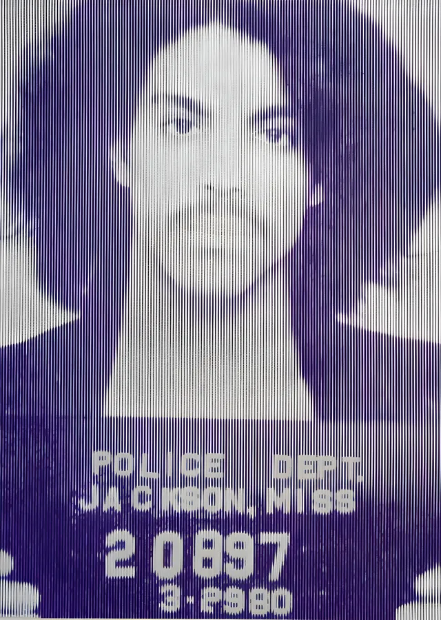 Prince: Mor Portre metal tablo