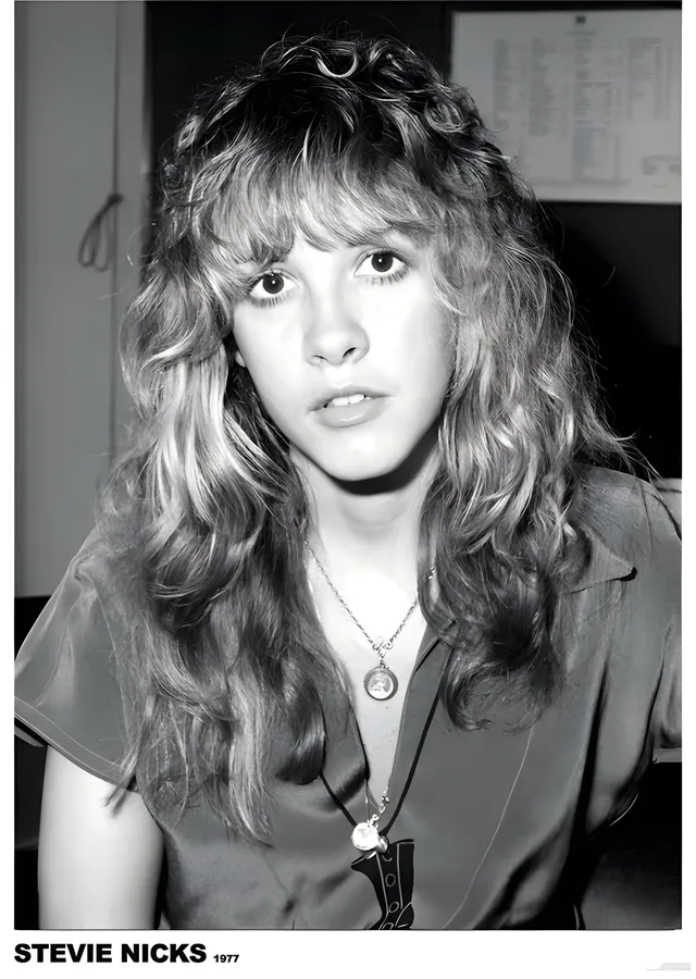 Stevie Nicks: 1977 metal tablo