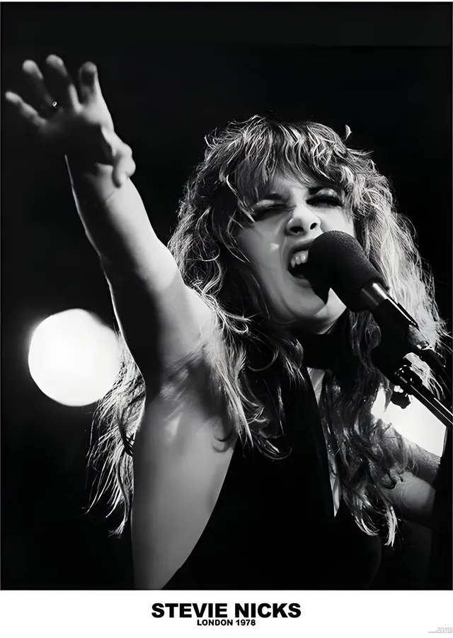Stevie Nicks: Londra 1978 metal tablo