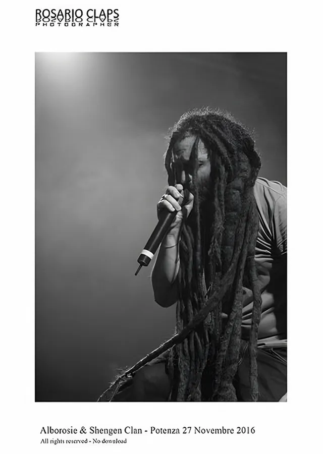 Alborosie - Potenza 2016 Konseri metal tablo