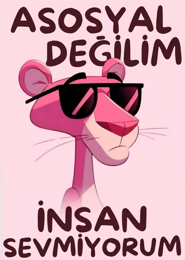 Asosyal Değilim İnsan Sevmiyorum metal tablo