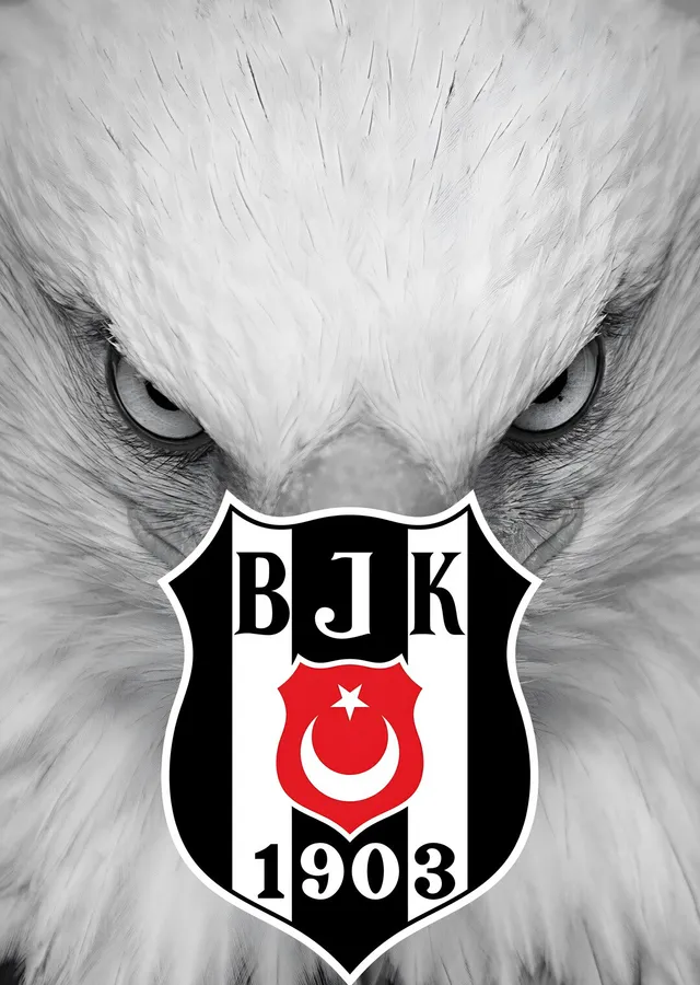 Beşiktaş: Beyaz Kartalın Gözleri metal tablo