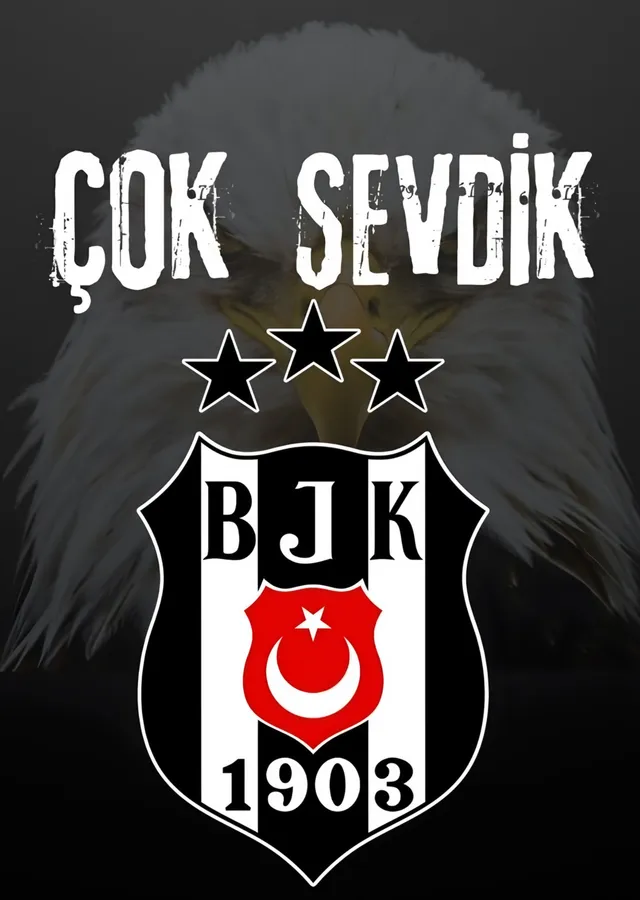 Beşiktaş: Kartal Tüylerinde Çok Sevdik metal tablo