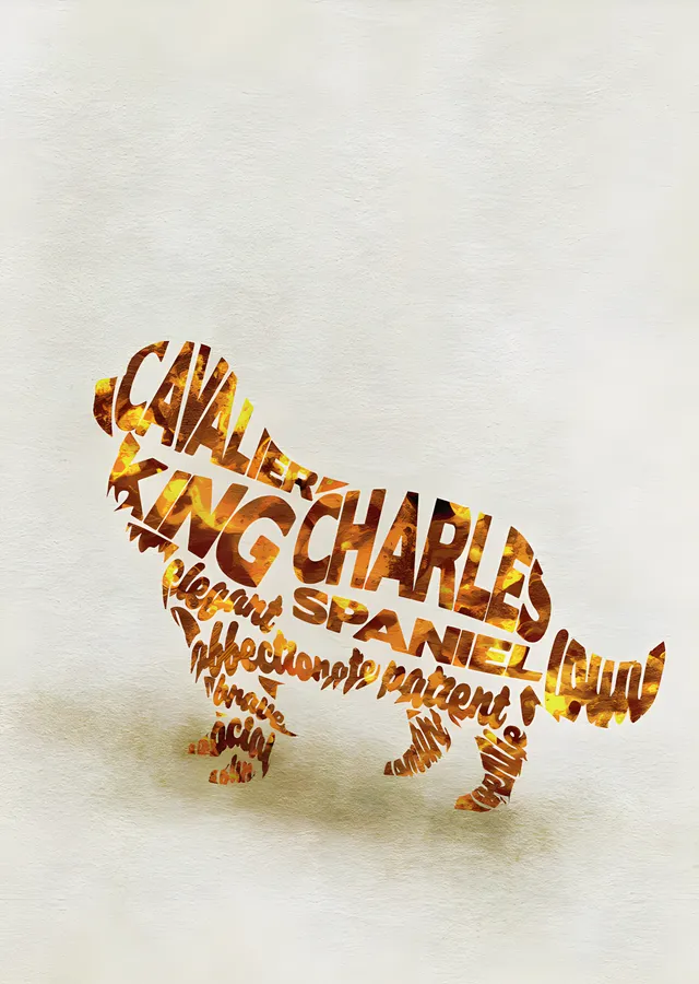 Cavalier King Charles Spaniel - Tipografi metal tablo