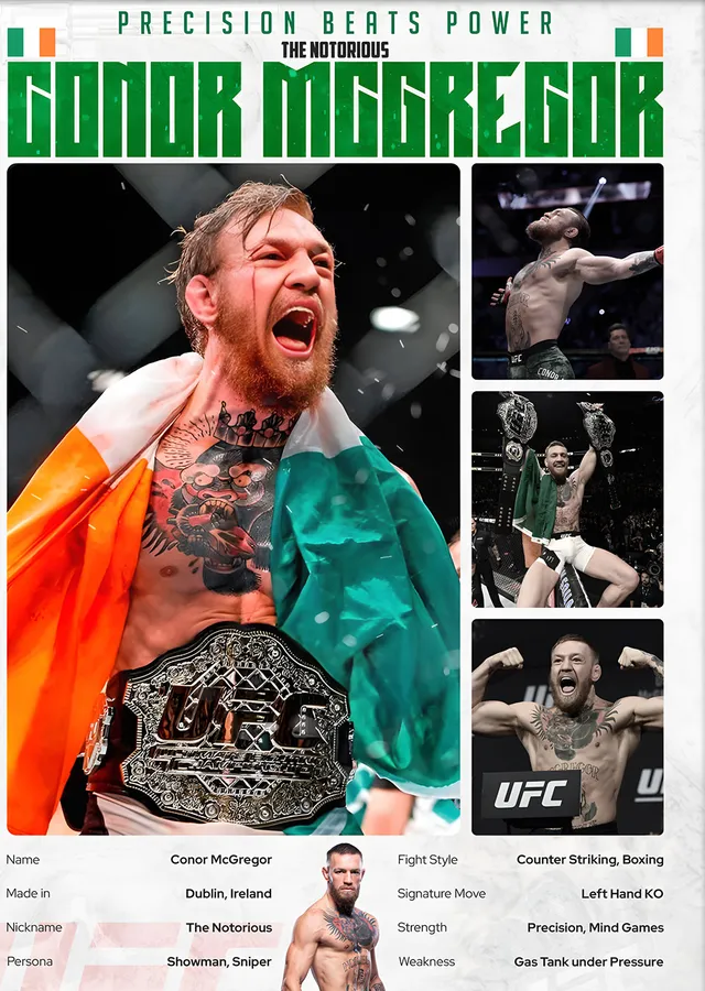 Conor McGregor The Notorious metal tablo