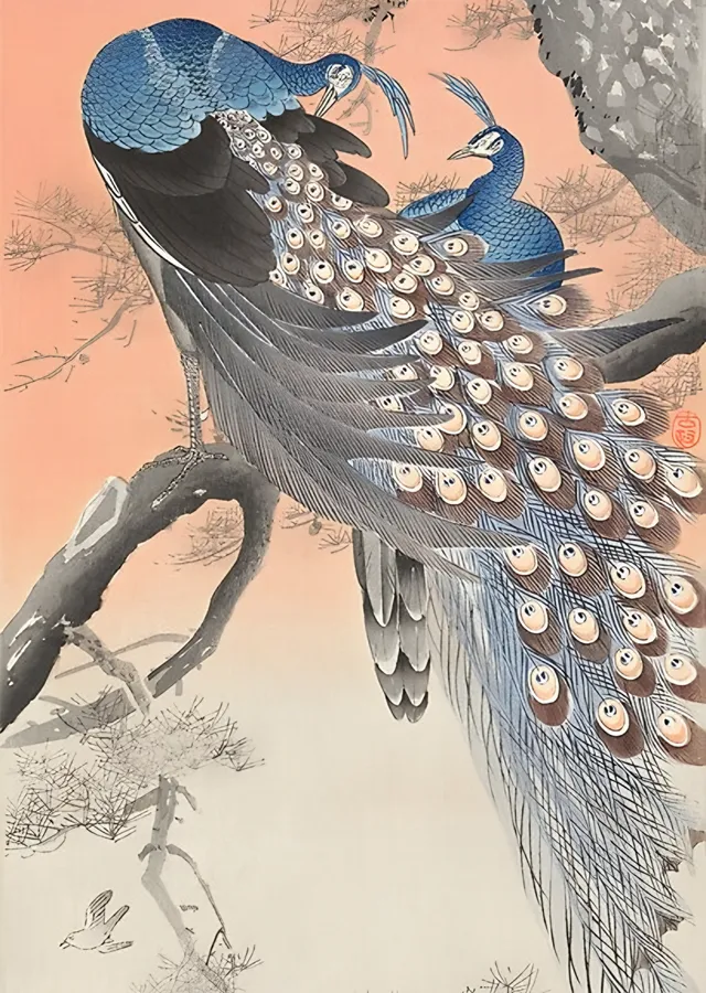 Dalda İki Tavuskuşu - Ohara Koson metal tablo