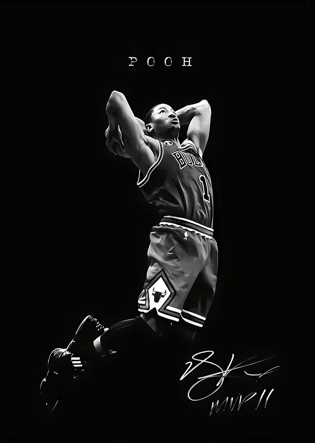 Derrick Rose: Pooh metal tablo