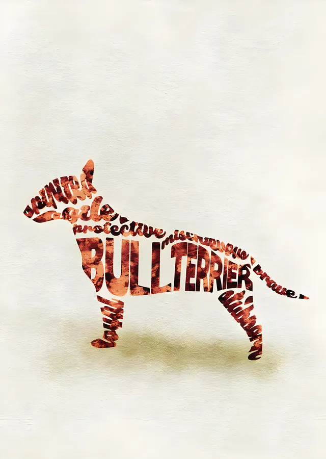 Bull Terrier - Tipografi metal tablo