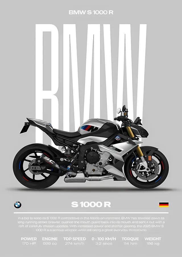 BMW S 1000 R metal tablo