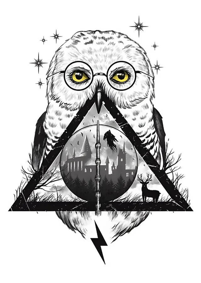 Harry Potter - Baykuş ve Ölüm Yadigârları metal tablo