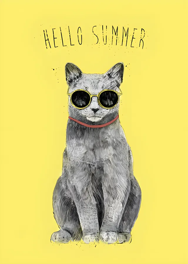 Hello Summer - Güneş Gözlüklü Gri Kedi metal tablo