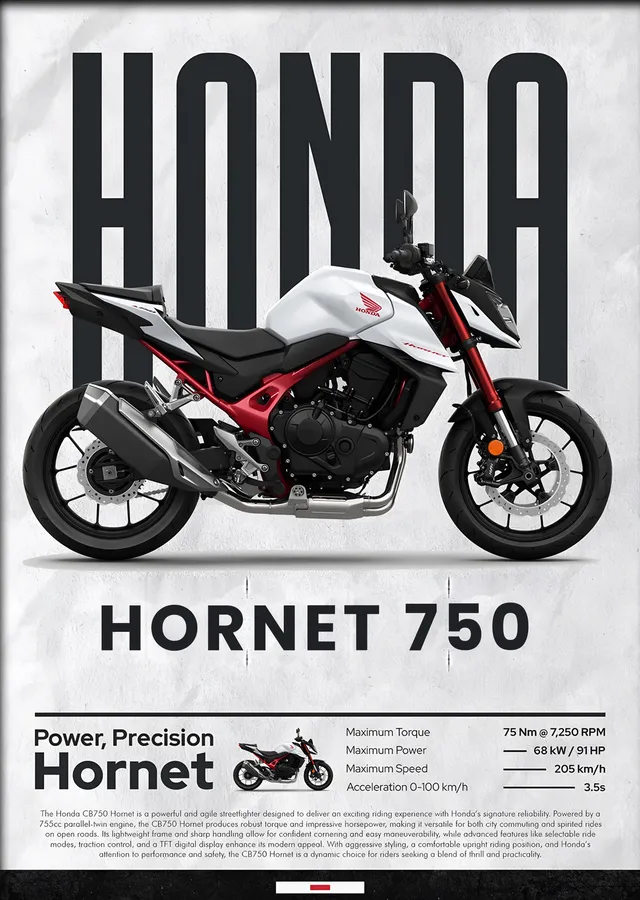 Honda Hornet 750 metal tablo