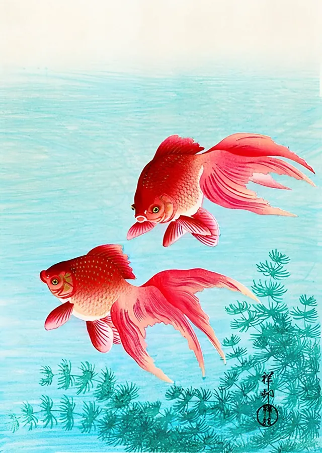 İki Japon Balığı - Ohara Koson metal tablo
