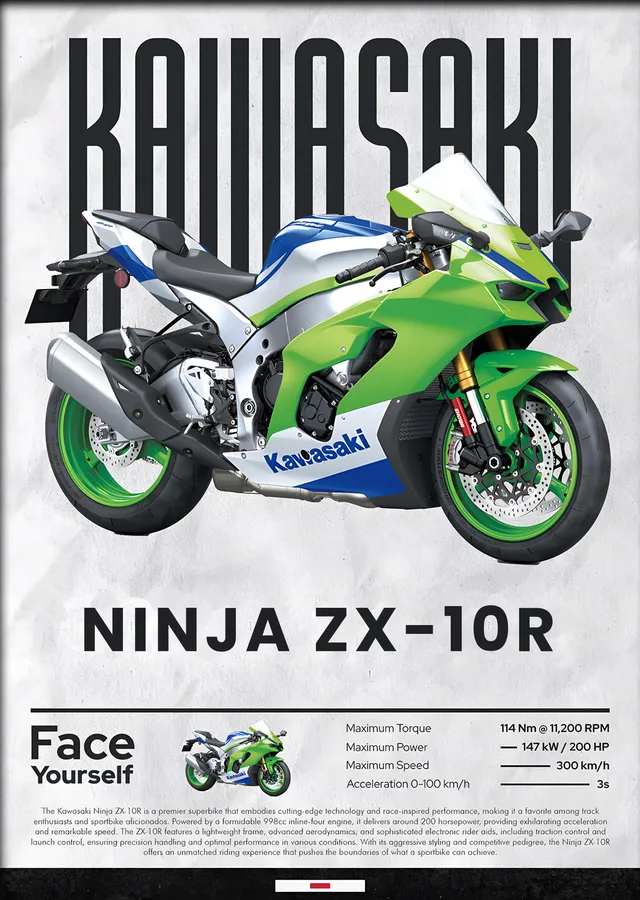 Kawasaki Ninja ZX-10R Yarış Livresi metal tablo