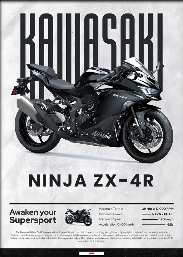 Kawasaki Ninja ZX-4R metal tablo