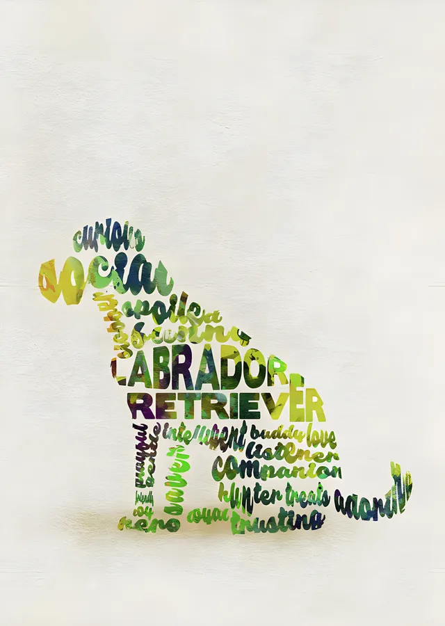 Labrador Retriever - Tipografi metal tablo
