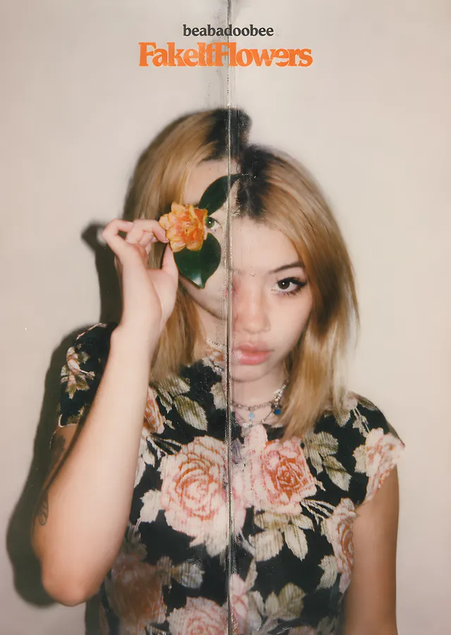beabadoobee - Fake It Flowers metal tablo