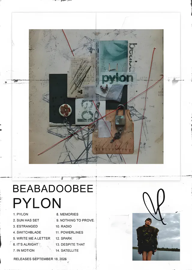 beabadoobee - Pylon metal tablo