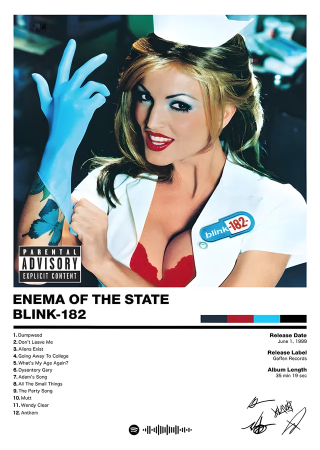 Blink-182 - Enema of the State Kapağı metal tablo