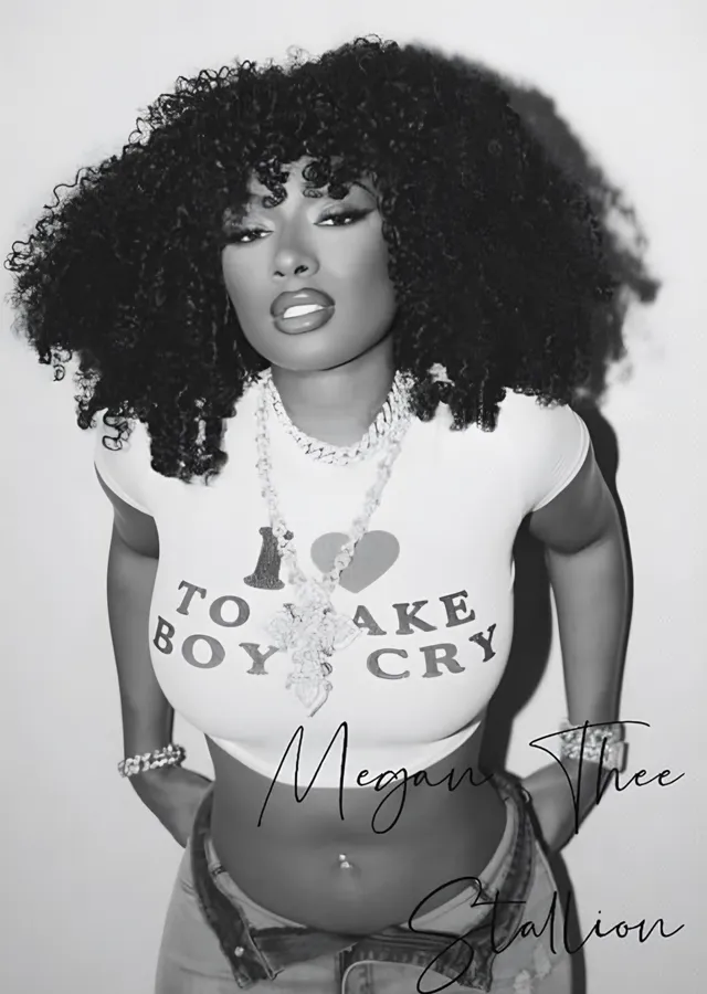 Megan Thee Stallion - Siyah Beyaz Poz metal tablo