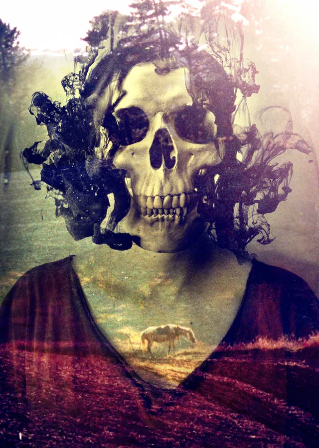 Miss Skull metal tablo