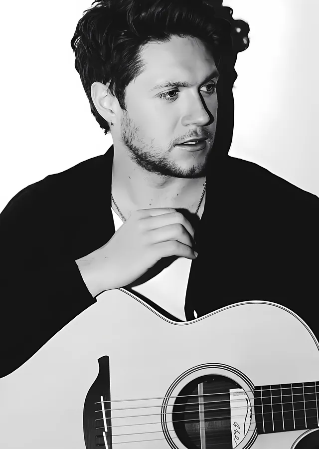 Niall Horan: Monokrom Gitar Karesi metal tablo