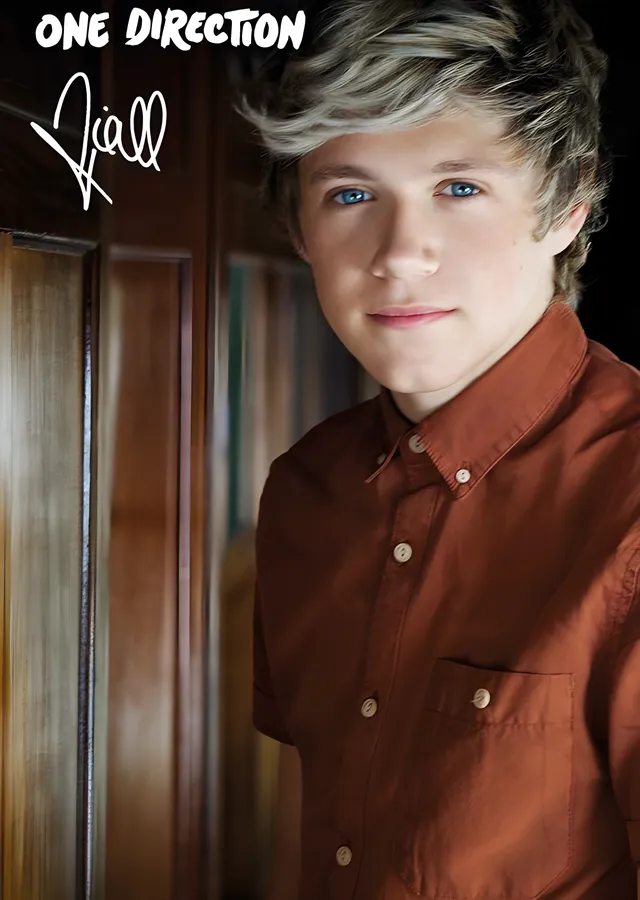 Niall Horan: One Direction Dönemi metal tablo