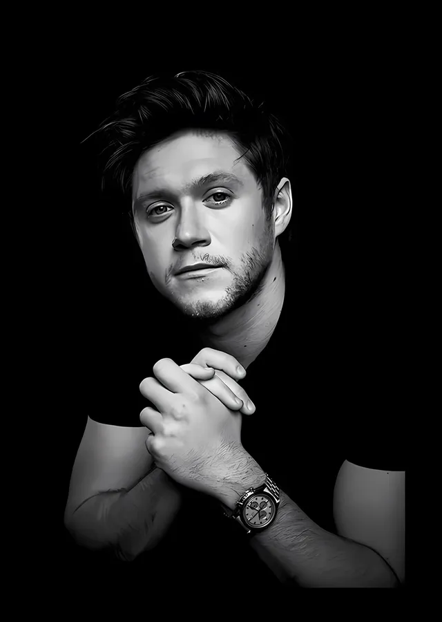 Niall Horan: Siyah Beyaz Portre metal tablo