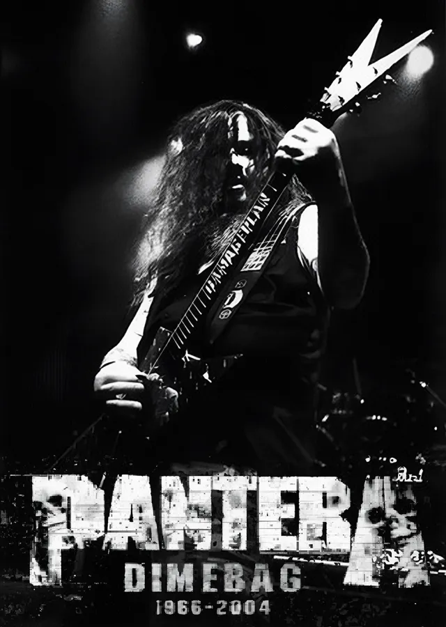 Pantera: Dimebag 1966-2004 metal tablo