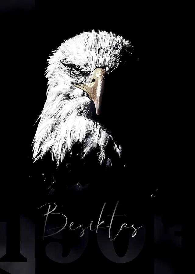 Beşiktaş: Kartalın Bakışı metal tablo