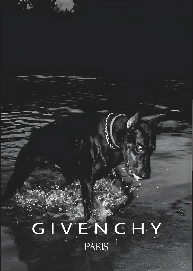 Givenchy: Su İçindeki Köpek metal tablo