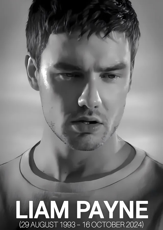 Liam Payne: 1993 - 2024 metal tablo