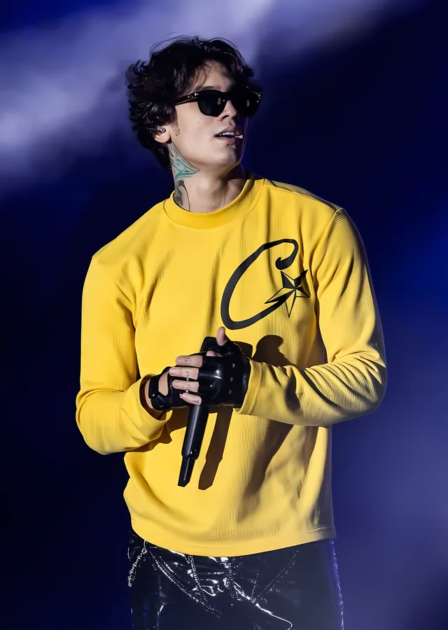 Çakal - Sarı Sweatshirt metal tablo
