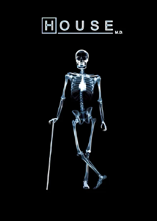 House M.D.: Dr. House'un İkonik Anı metal tablo