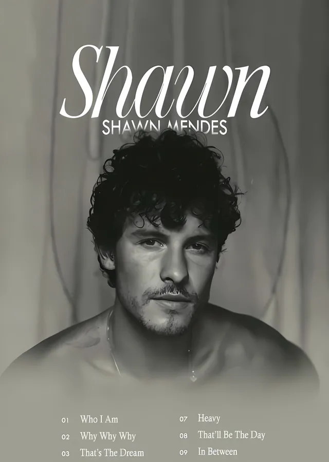 Shawn Mendes: Shawn metal tablo