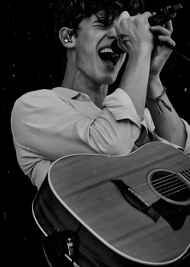 Shawn Mendes: Akustik An metal tablo