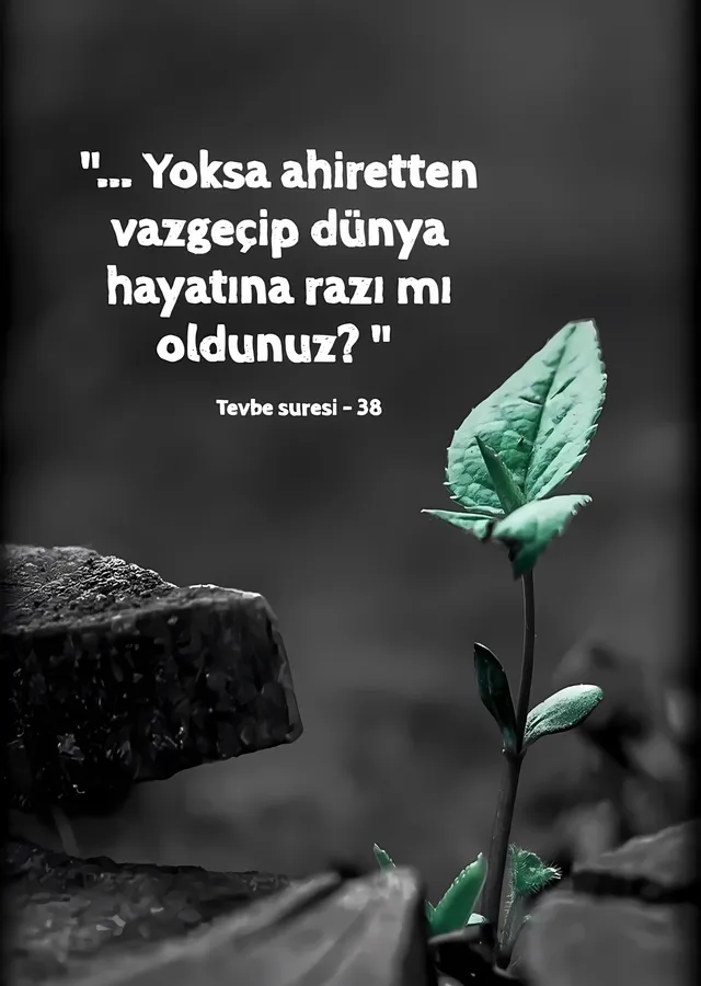 Tevbe Suresi: Dünya Hayatına Razı mı Oldunuz metal tablo