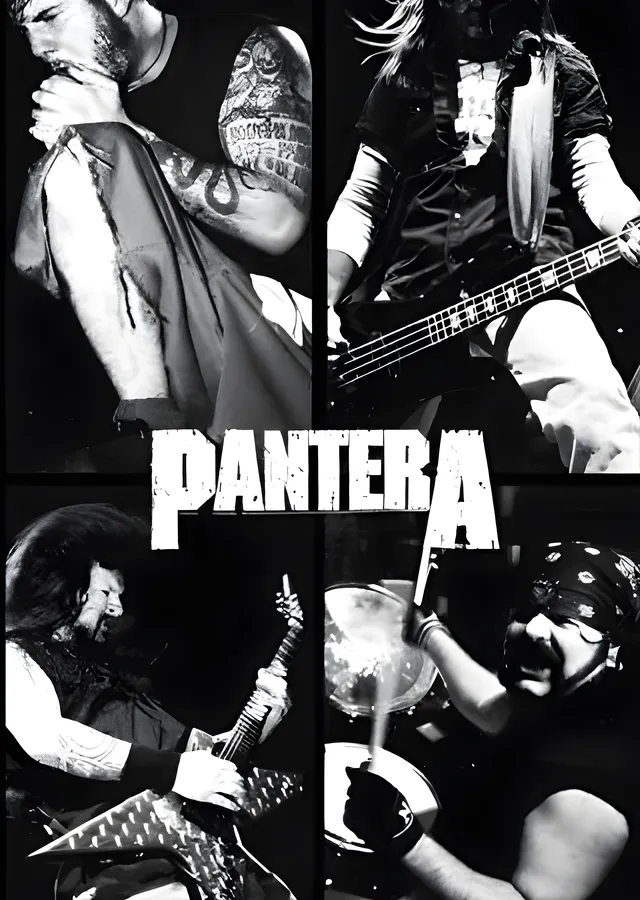 Pantera: Sahne Kolajı metal tablo