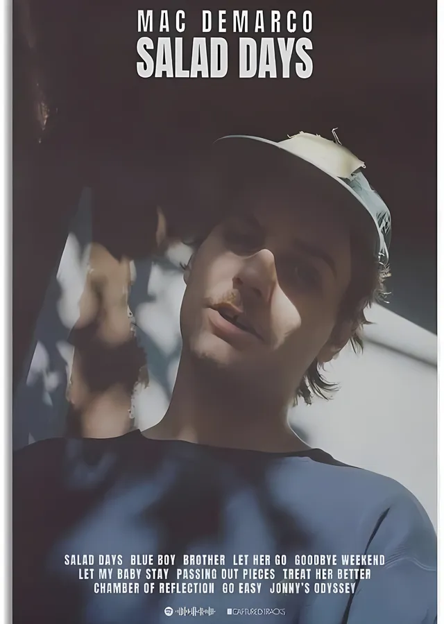 Mac Demarco: Salad Days metal tablo