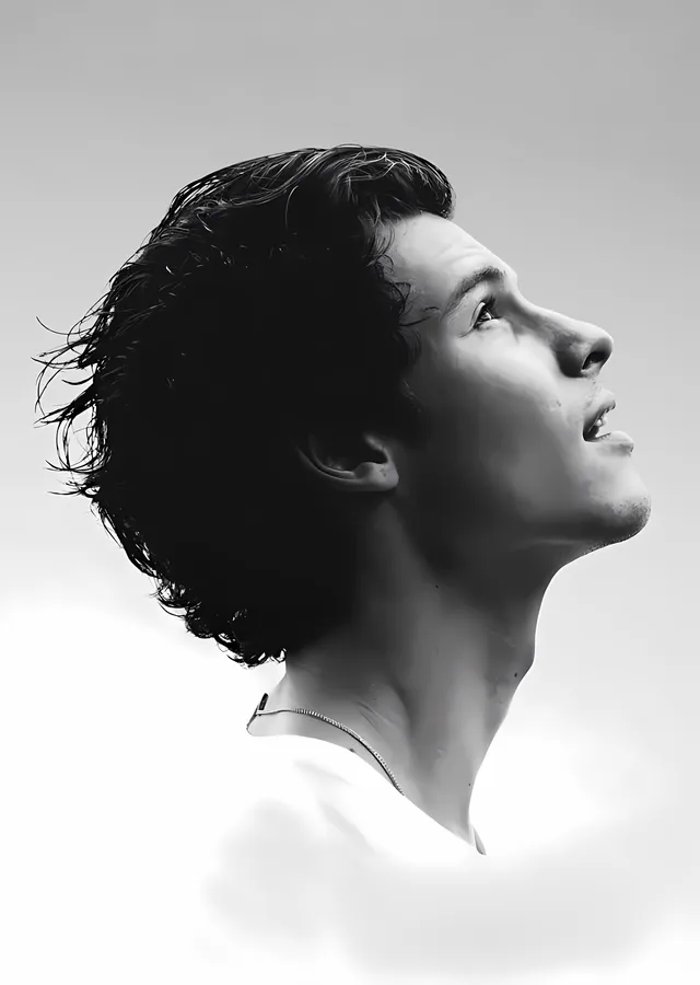 Shawn Mendes: Rüzgârda metal tablo