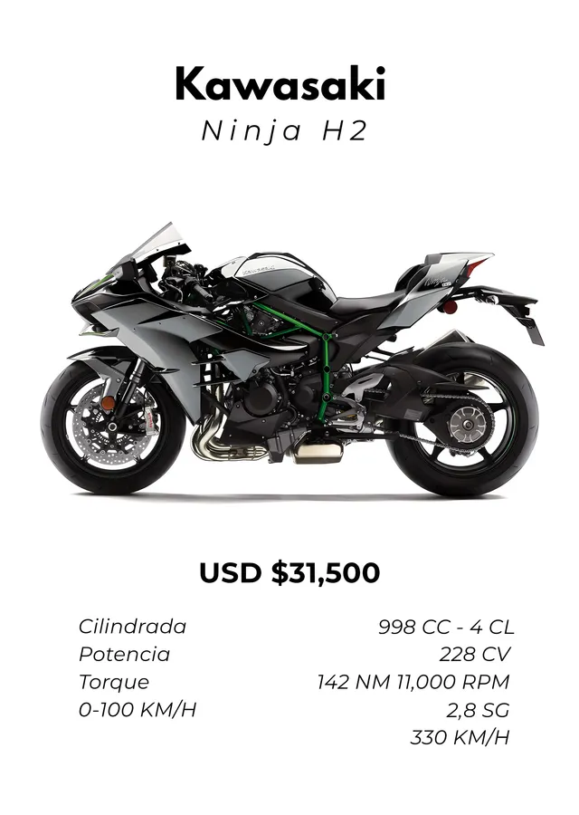 Kawasaki Ninja H2: Gümüş ve Teknik Föy metal tablo