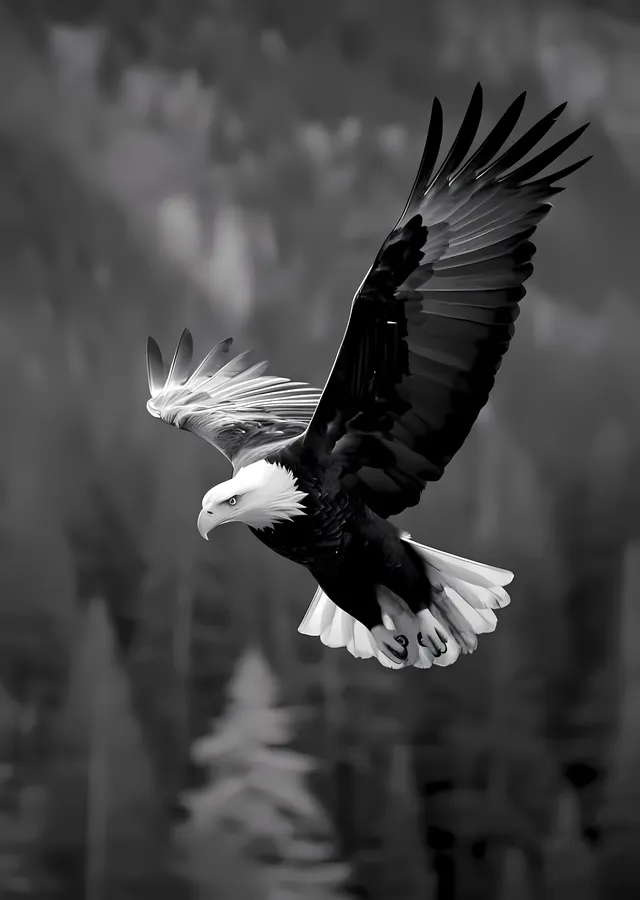Kartal Uçuşu metal tablo