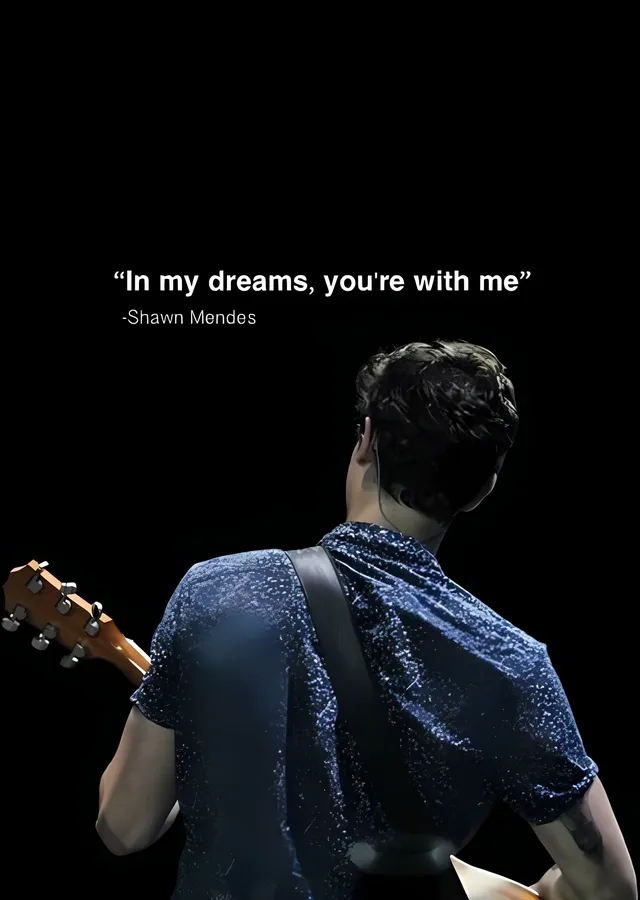 Shawn Mendes: In My Dreams metal tablo