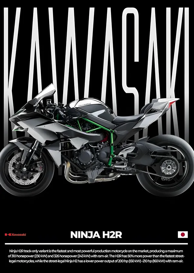 Kawasaki Ninja H2R - Gümüş Gövde metal tablo