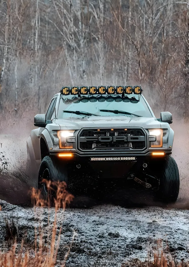 Ford Raptor: Çamurlu Yol metal tablo