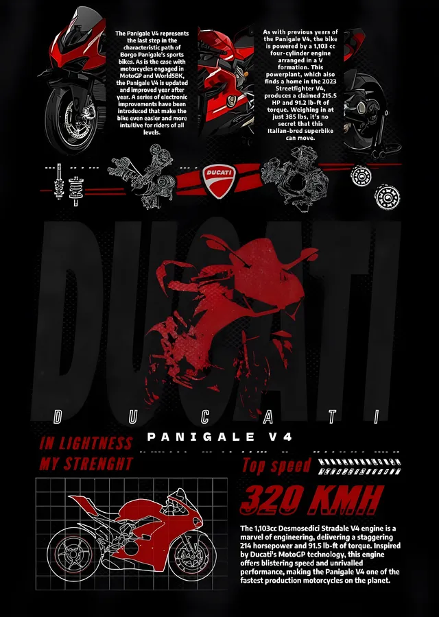 Ducati Panigale V4 - Teknik Pano metal tablo