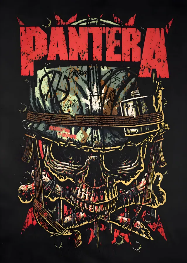 Pantera: Kasklı Kurukafa İllüstrasyonu metal tablo