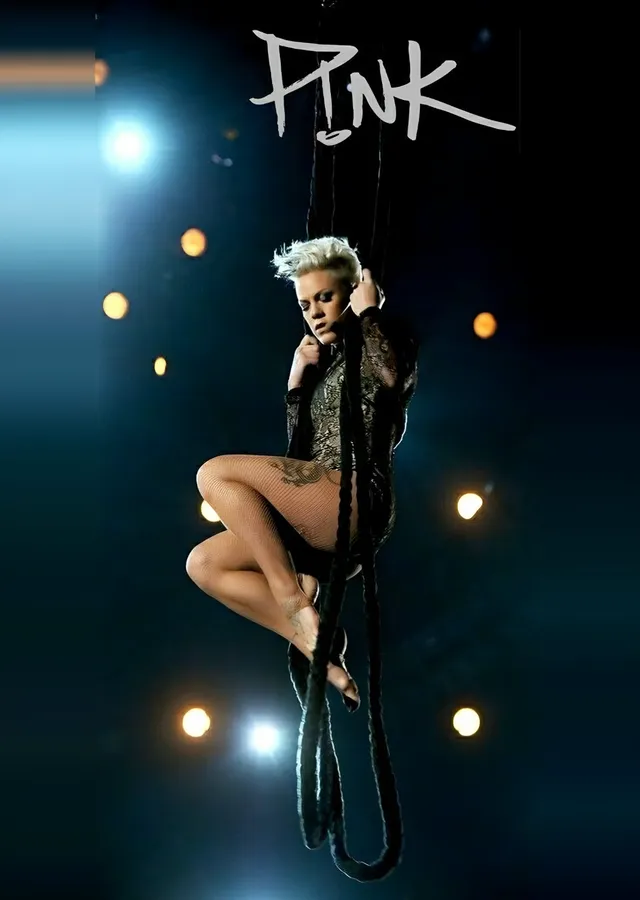 Pink - Havada Performans metal tablo
